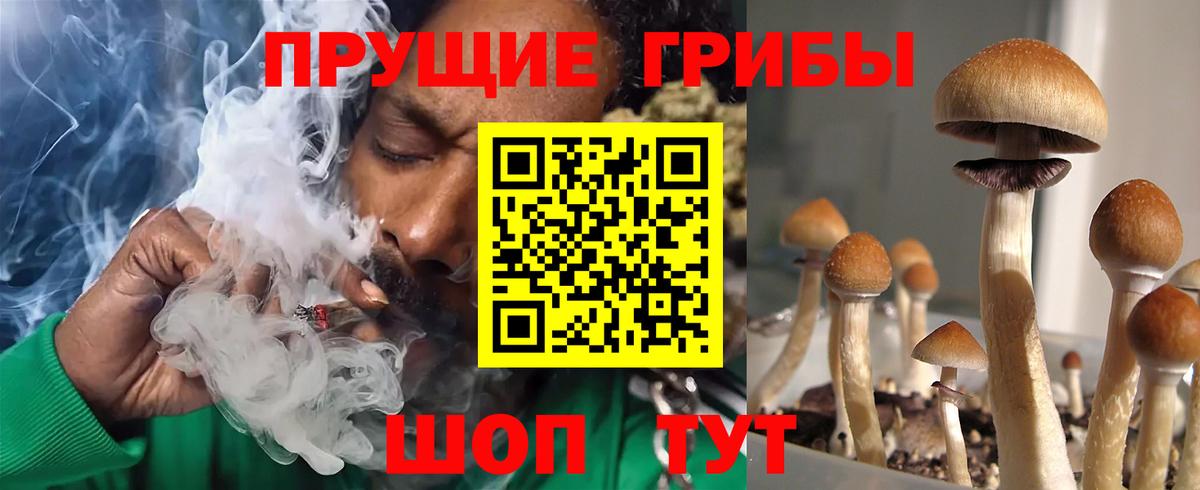 Галлюциногенные грибы GOLDEN TEACHER  магазин продажи   Вход с VPN  Лесосибирск  Псилоцибиновые грибы ЛСД 